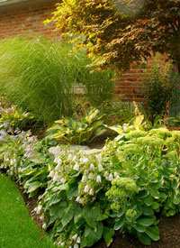 Planting & Garden Tips