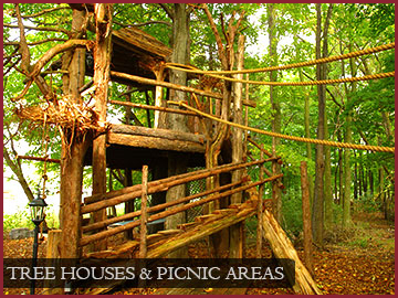 Tree Houses & Picnic Areas