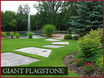 Giant Flagstone