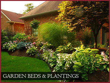 Garden Beds & Plantings